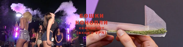 прущие грибы Белоозёрский